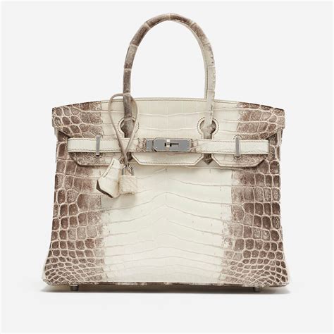 hermes birkin himalayan prezzo